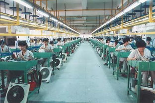 40年家電發(fā)展 見證改革浪潮中的生活變遷與技術(shù)開發(fā)